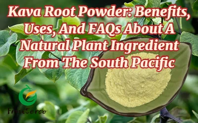 Kava Root Powder: Výhody, použití a často kladené otázky o přírodní rostlinné...