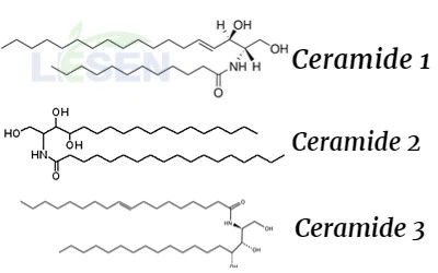 Ceramide Ceramide