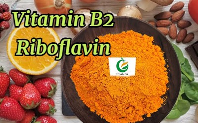 Vitamin B2 2 Vitamin B2 2