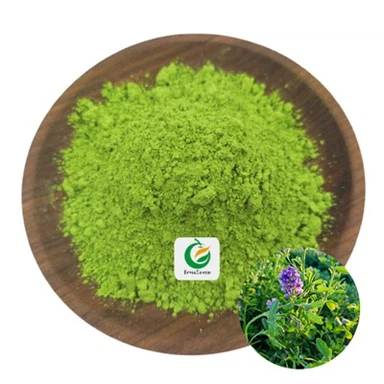 Prášek listů vojtěšinky