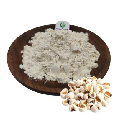 Coix Seed Prášek