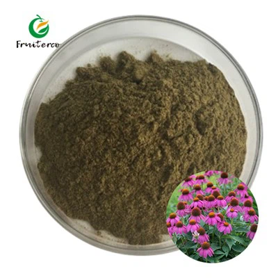 Extrakt z Echinacea Purpurea