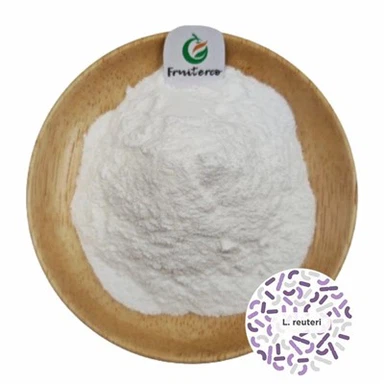 Prášek Lactobacillus Reuteri